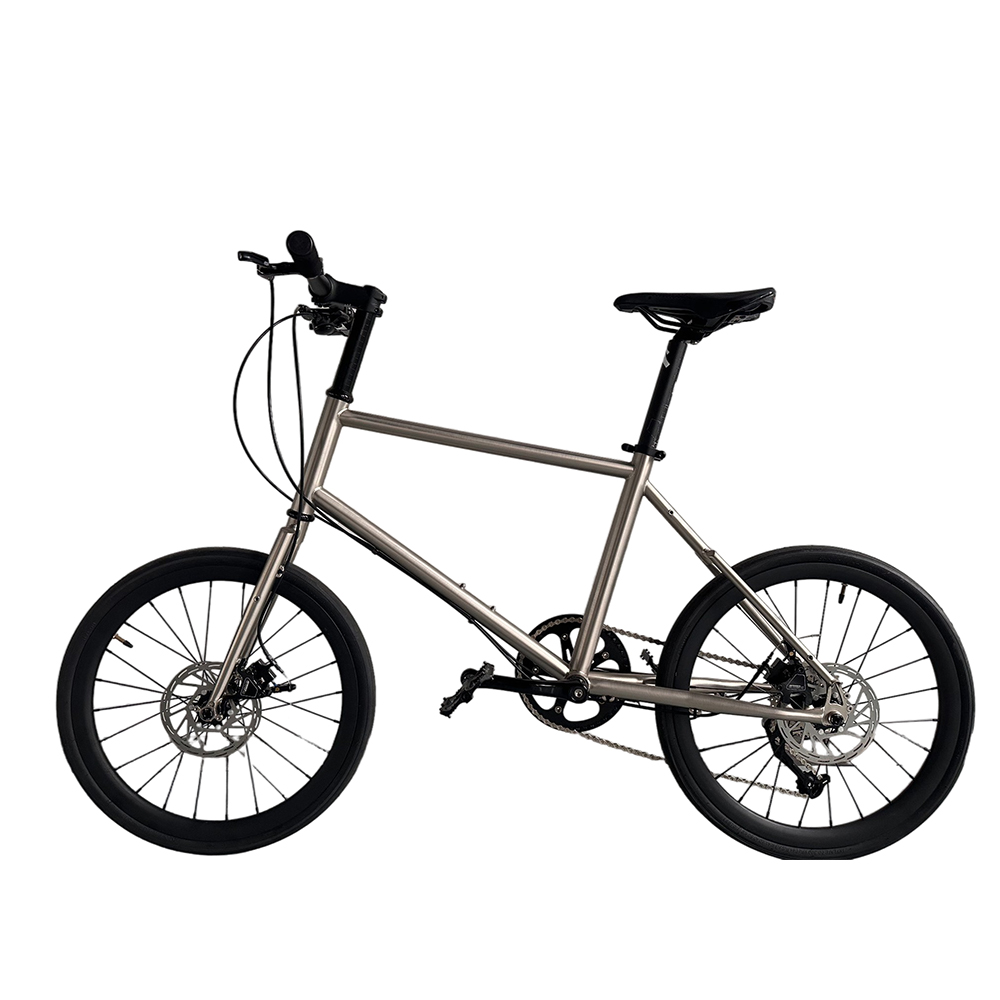 Sepeda Anak Laki-laki 20 Inci, - Cycling Gear Inches ulasan dan harga